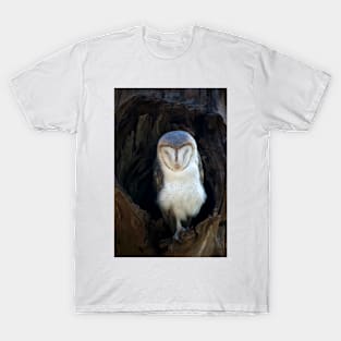 Sleeping Barn Owl T-Shirt